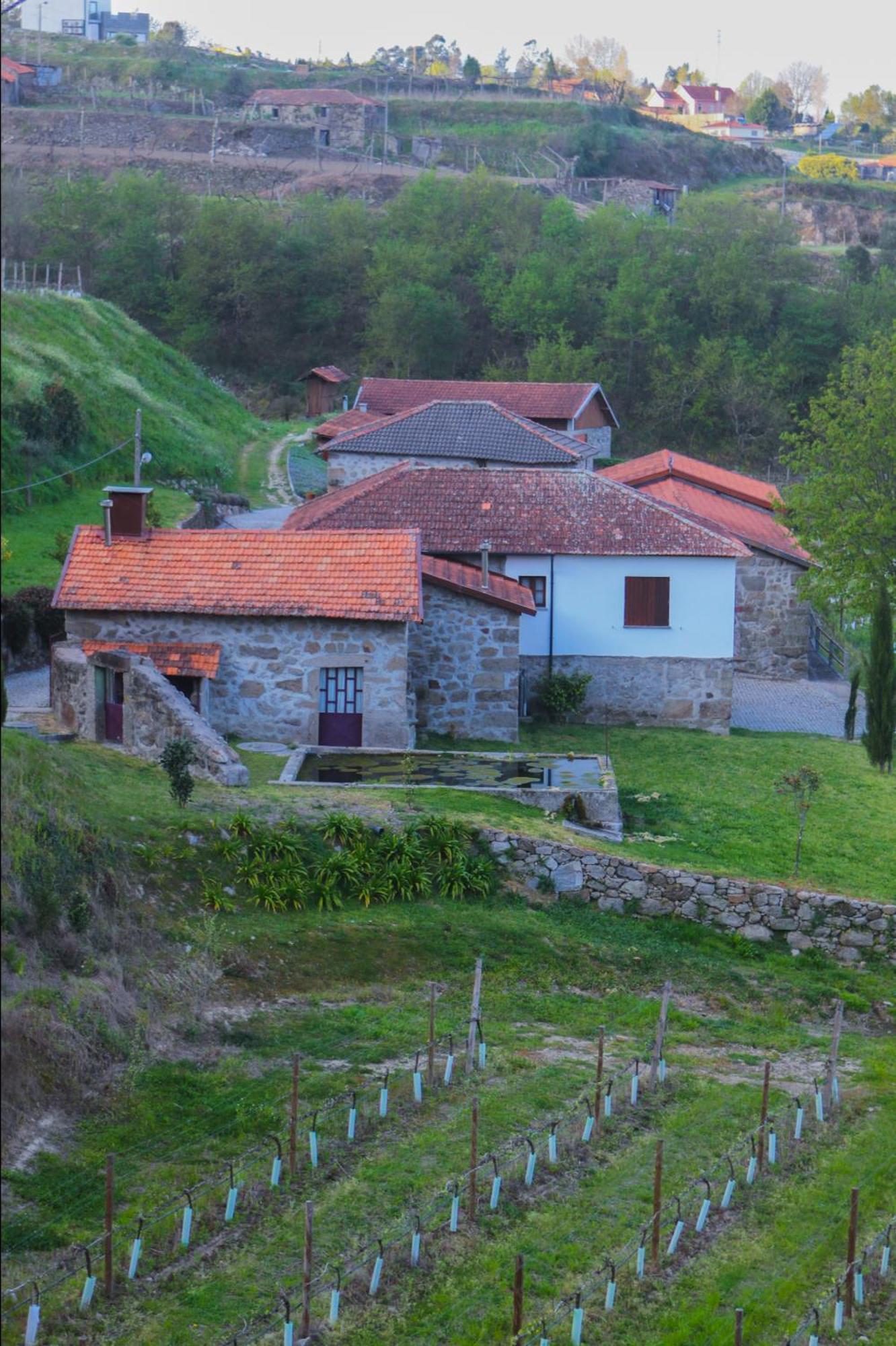 The FarmHouse I - Uma quinta deslumbrante Felgueiras Extérieur photo